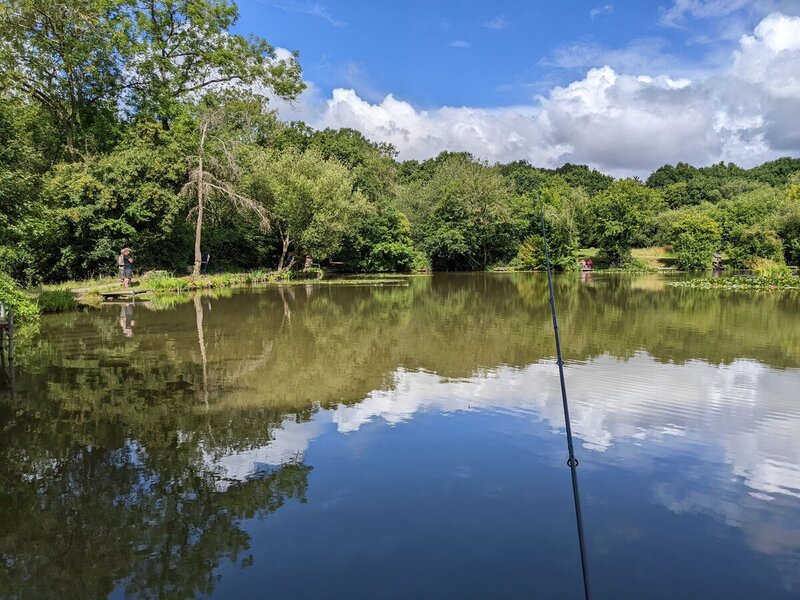 A fishing lake in dappled sunlight in North London