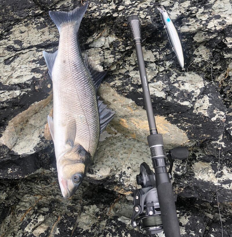 Bass on the rocks caught using a surface lure