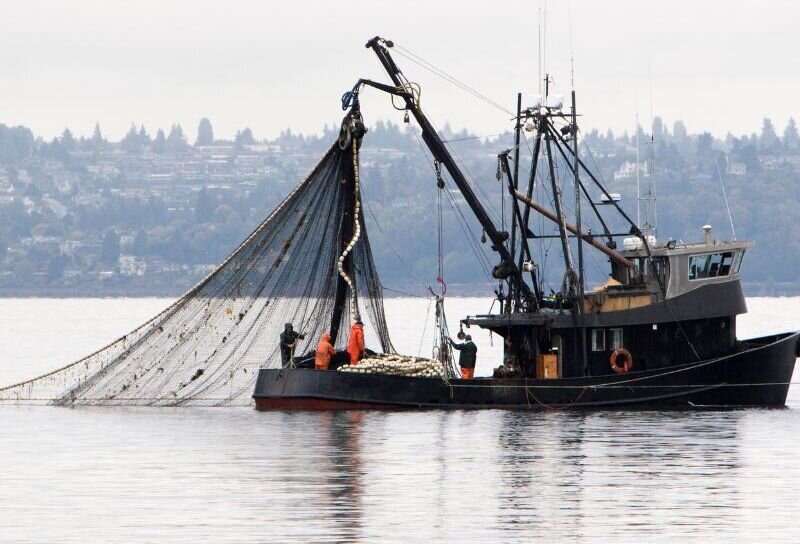 Commercial fishing boat with a large net at sea