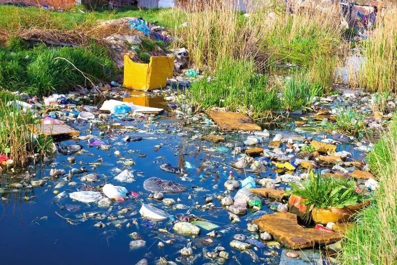 Polluted river strewn with litter
