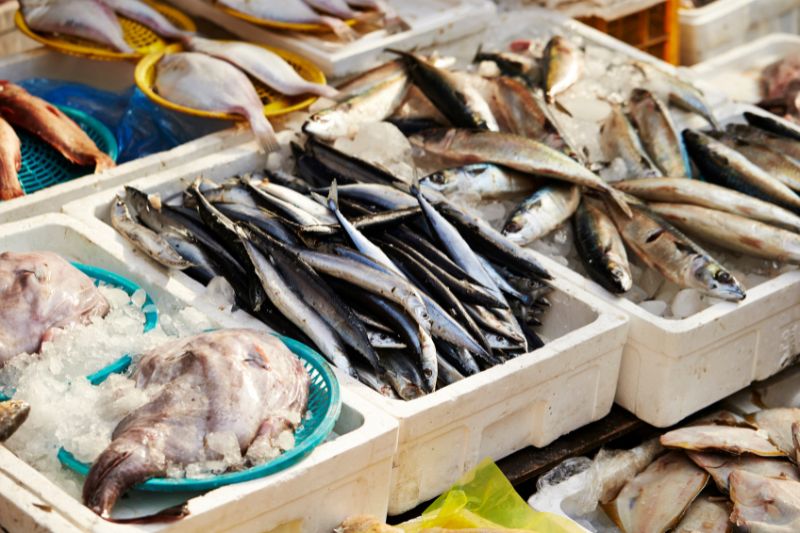Fish stored in cold boxes ready to be sold at a fishing market