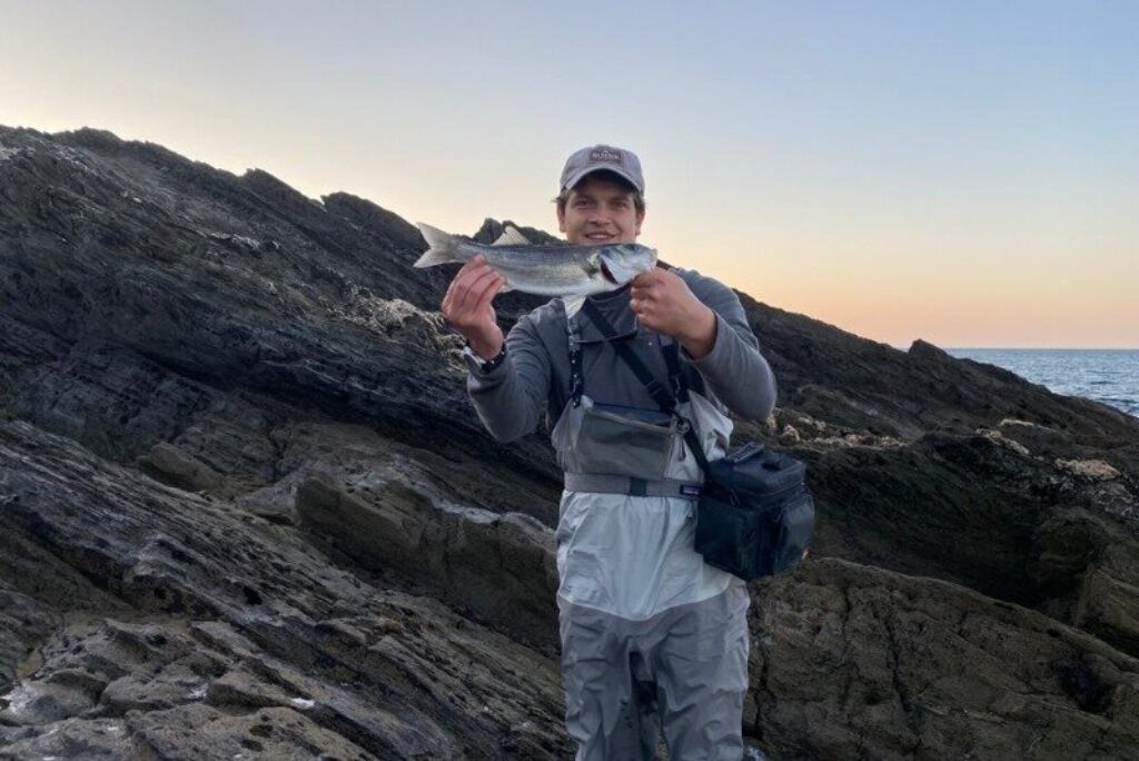 A nice bass held up in front of classic Cornish angular rocks by Godrevy