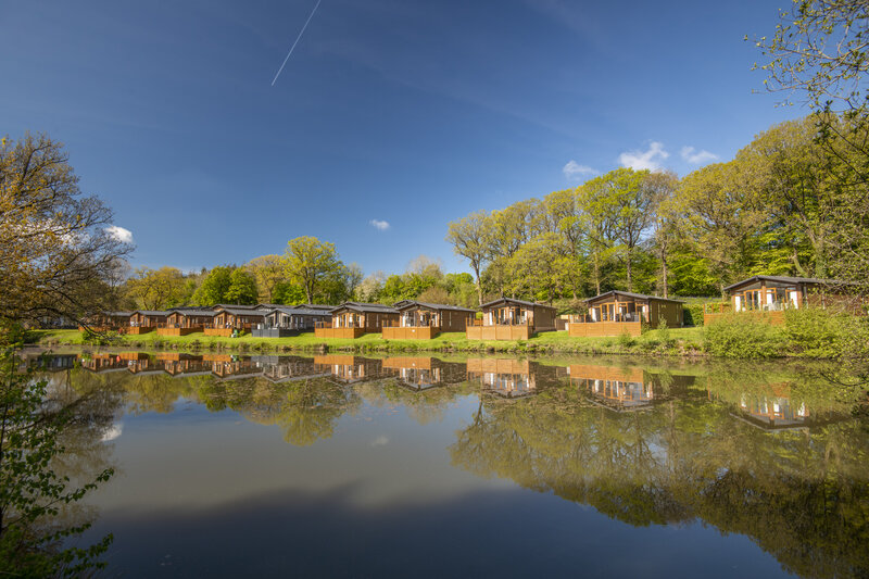 A sunny, lakeside view of Lakeview Manor Hotel's fishing lodges