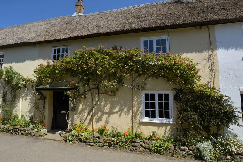 A view of the front of Trimm Cottage with climbing ivy weaving its way over