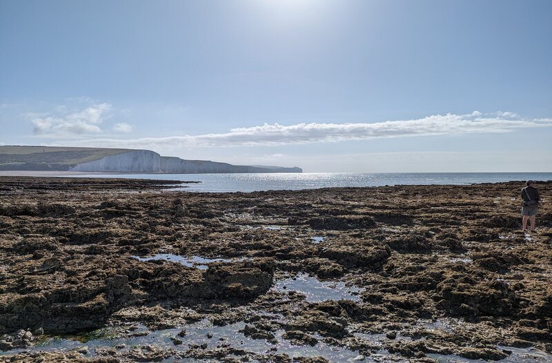 View of the rough ground looking towards Beachy Head from a bay at Seaford Head Nature Reserve