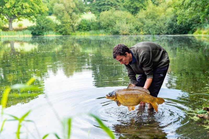 Carl from Fish with Carl holding a carp in a lake