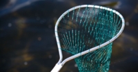 The 8 Best Fishing Nets in 2023